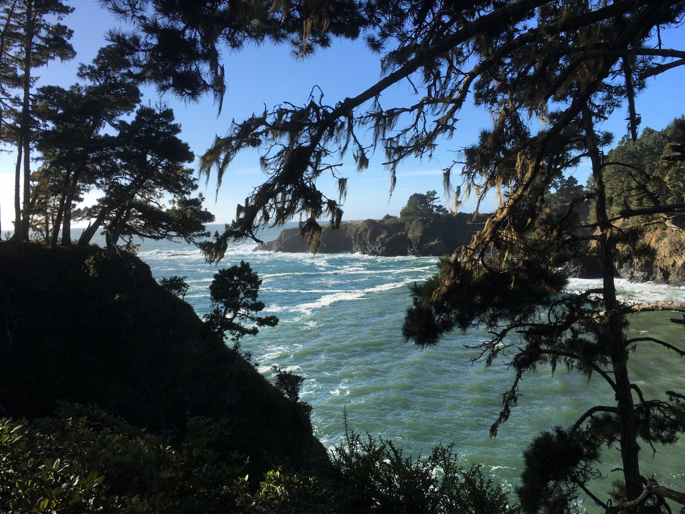 Hero image for Starting own life